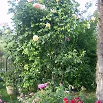 Casa Dina Terontola